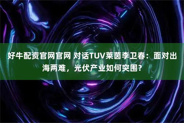 好牛配资官网官网 对话TUV莱茵李卫春:面对出海两难,光伏产业如何突围?